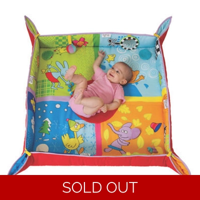 Taf Toys 4 Seasons Activity Mat